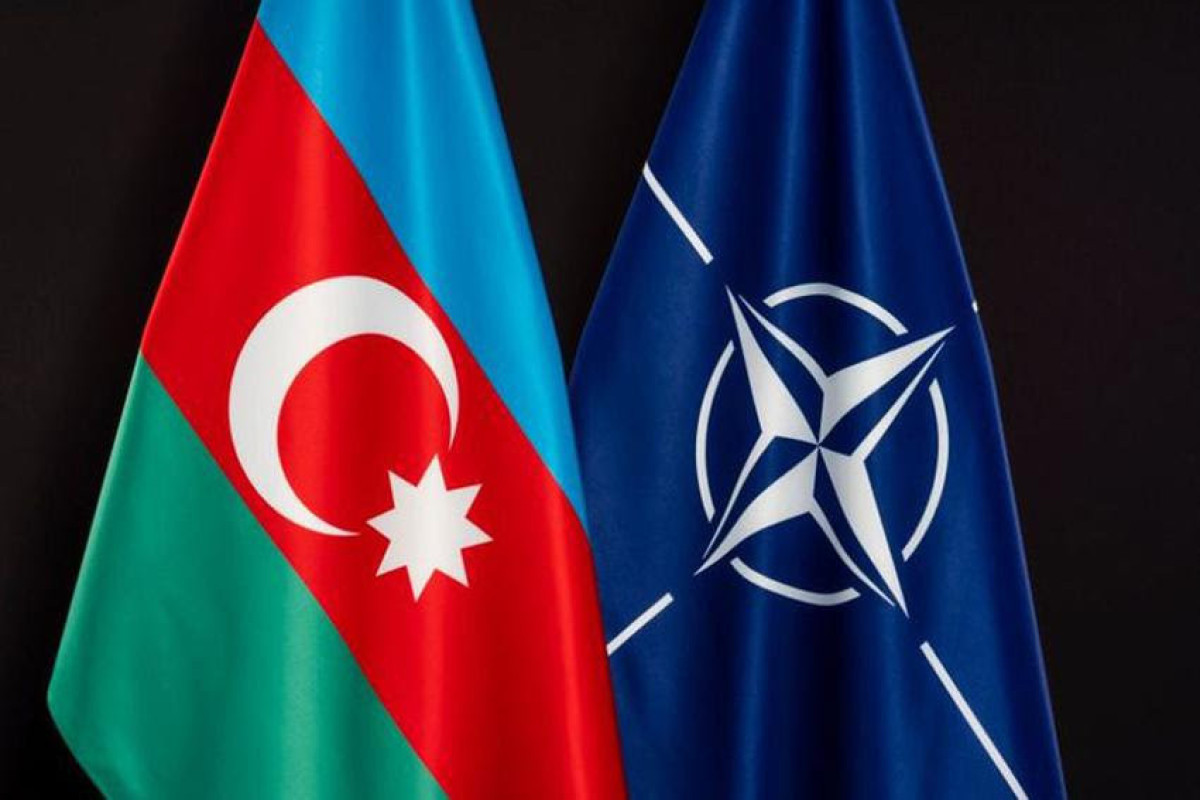 Хикмет Гаджиев обсудил в НАТО перспективы партнерства и нормализацию отношений с Арменией
