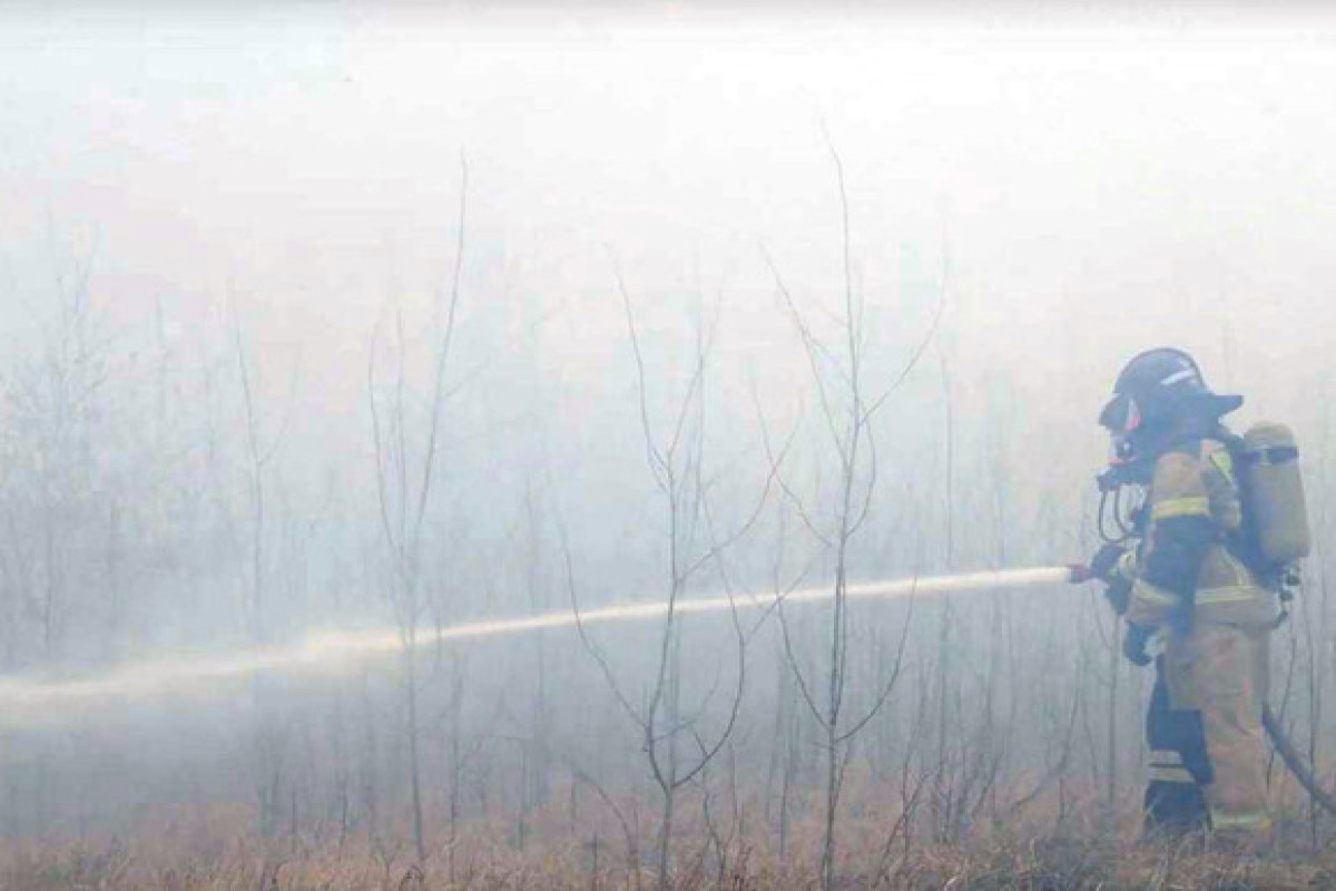 Пожары в Курганской области России унесли жизни 22 человек