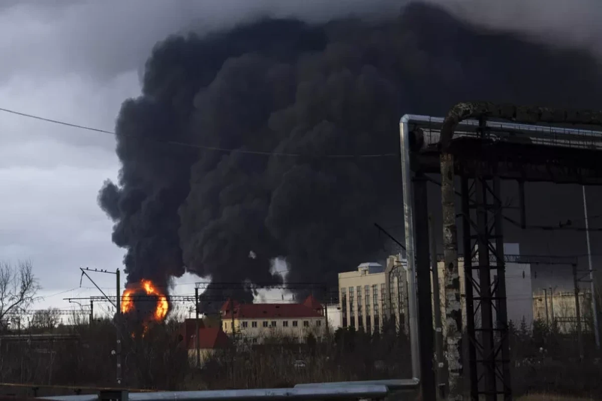 Экологи рассказали об ужасном ущербе, который наносят природе атаки РФ в Украине