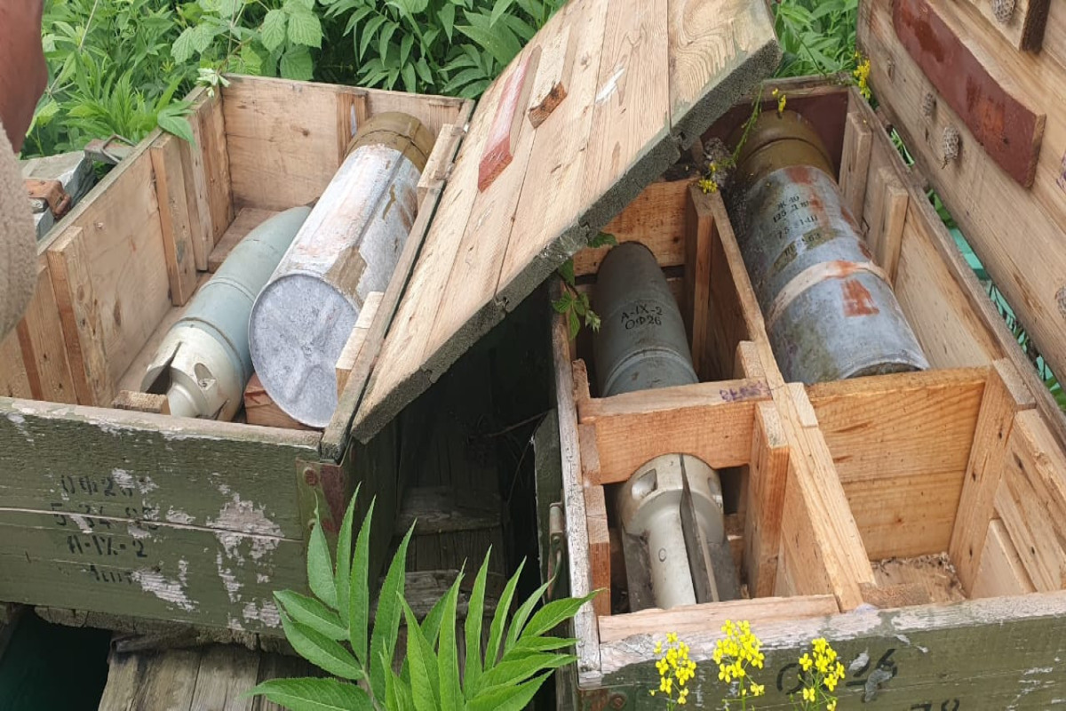В селе Туг в лесу обнаружено большое количество боеприпасов ВС Армении-ФОТО 