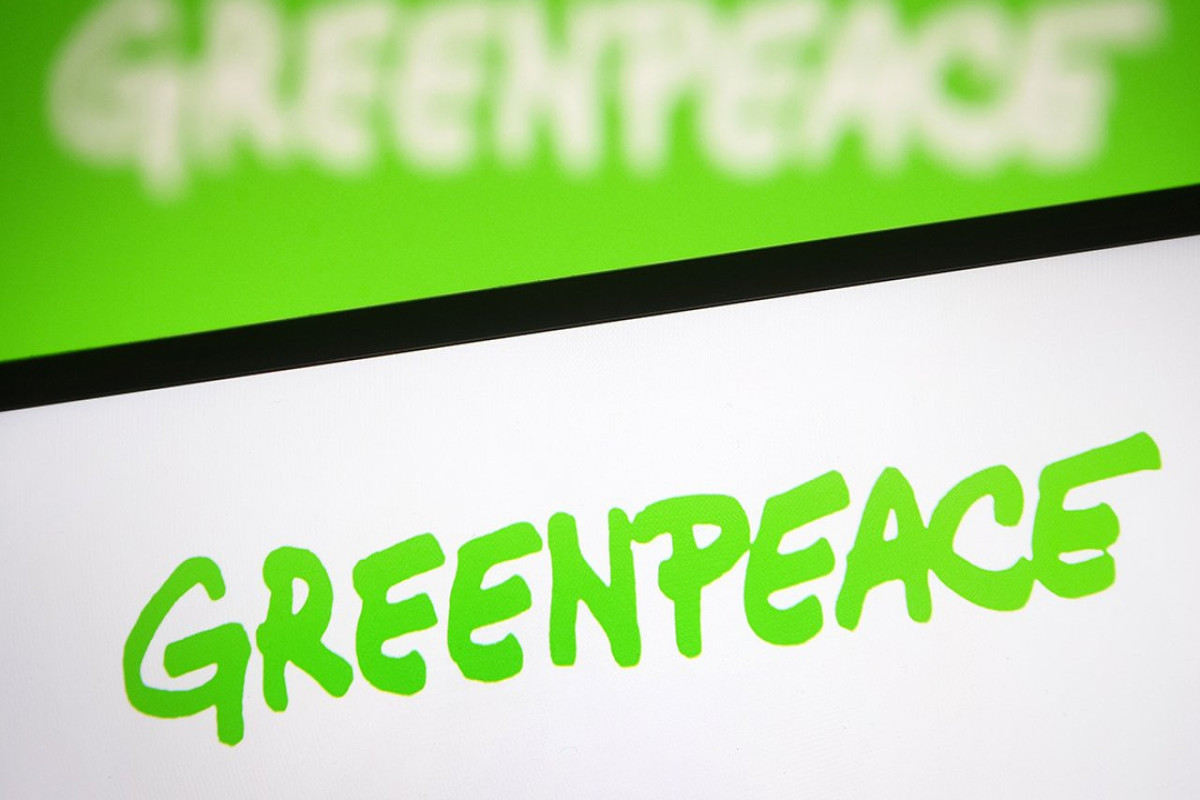 Greenpeace обвинили в попытках сменить власть в России