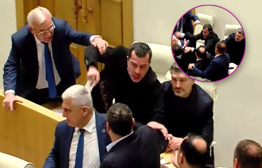 Грузинские депутаты устроили драку из-за авиасообщения с Россией-ВИДЕО 