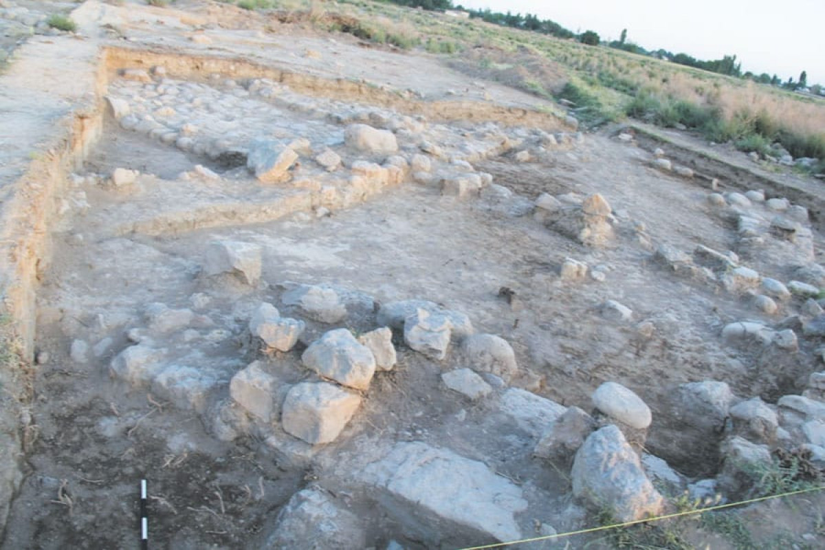 Совместная экспедиция азербайджанских и американских археологов проводит исследования в Садараке