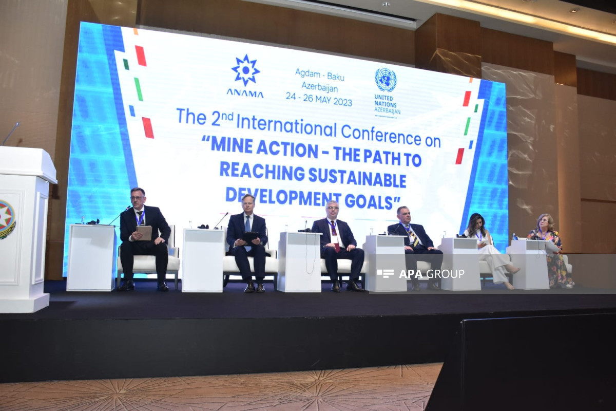 На состоявшейся в Баку международной конференции по минной угрозе принята декларация