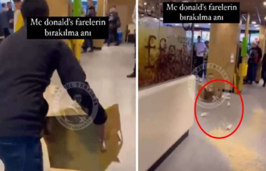 В Стамбуле в один из филиалов McDonald's выпустили коробку мышей-ВИДЕО 