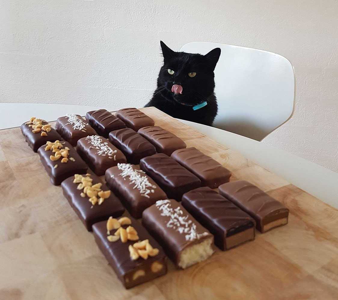 You eat so much chocolate. Шоколадный котик. Прикольные сладости. Конфеты котик. Шоколадная кошка.