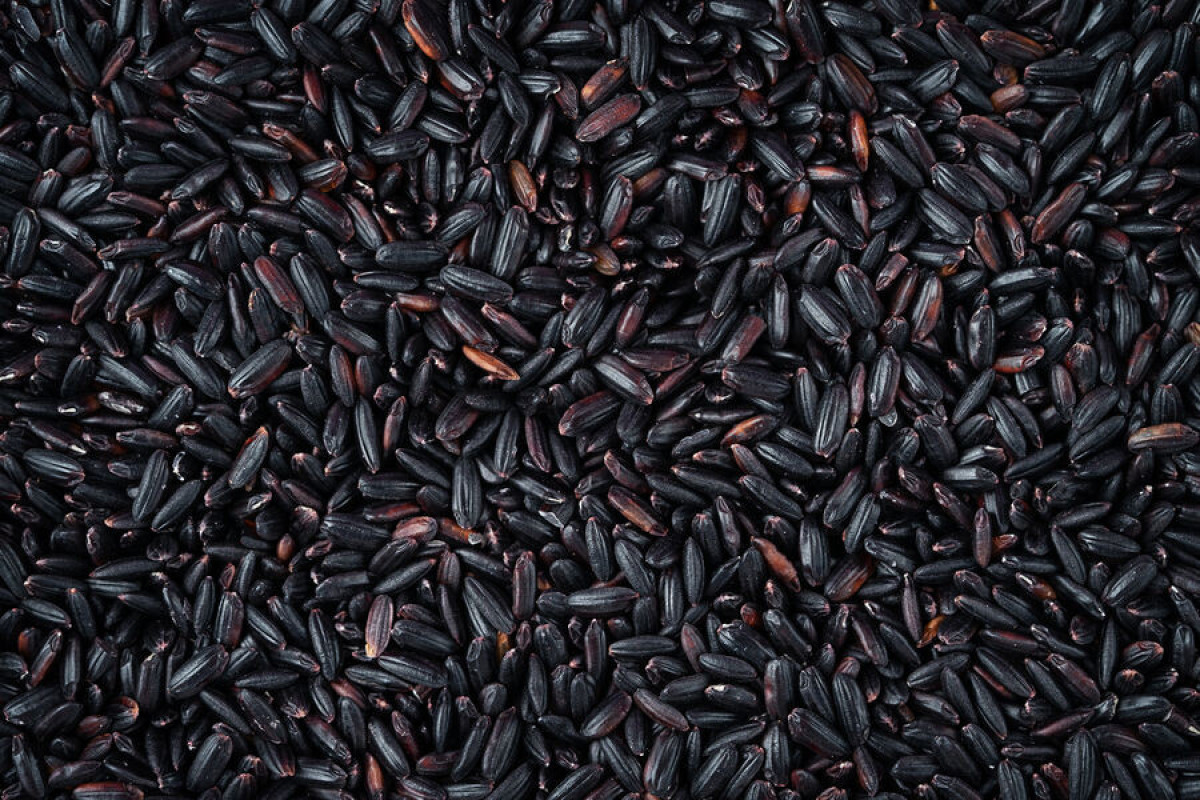Диетолог рассказала о пользе черного риса