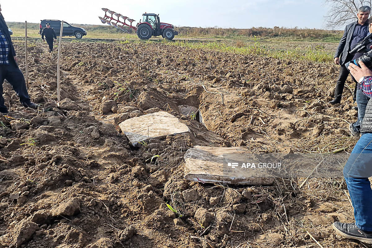Азербайджанский земледелец случайно обнаружил древнюю могилу во время вспашки земли-ФОТО 