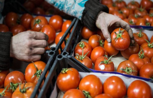 Экспорт азербайджанских томатов в Россию не изменился, но стоимость снизилась