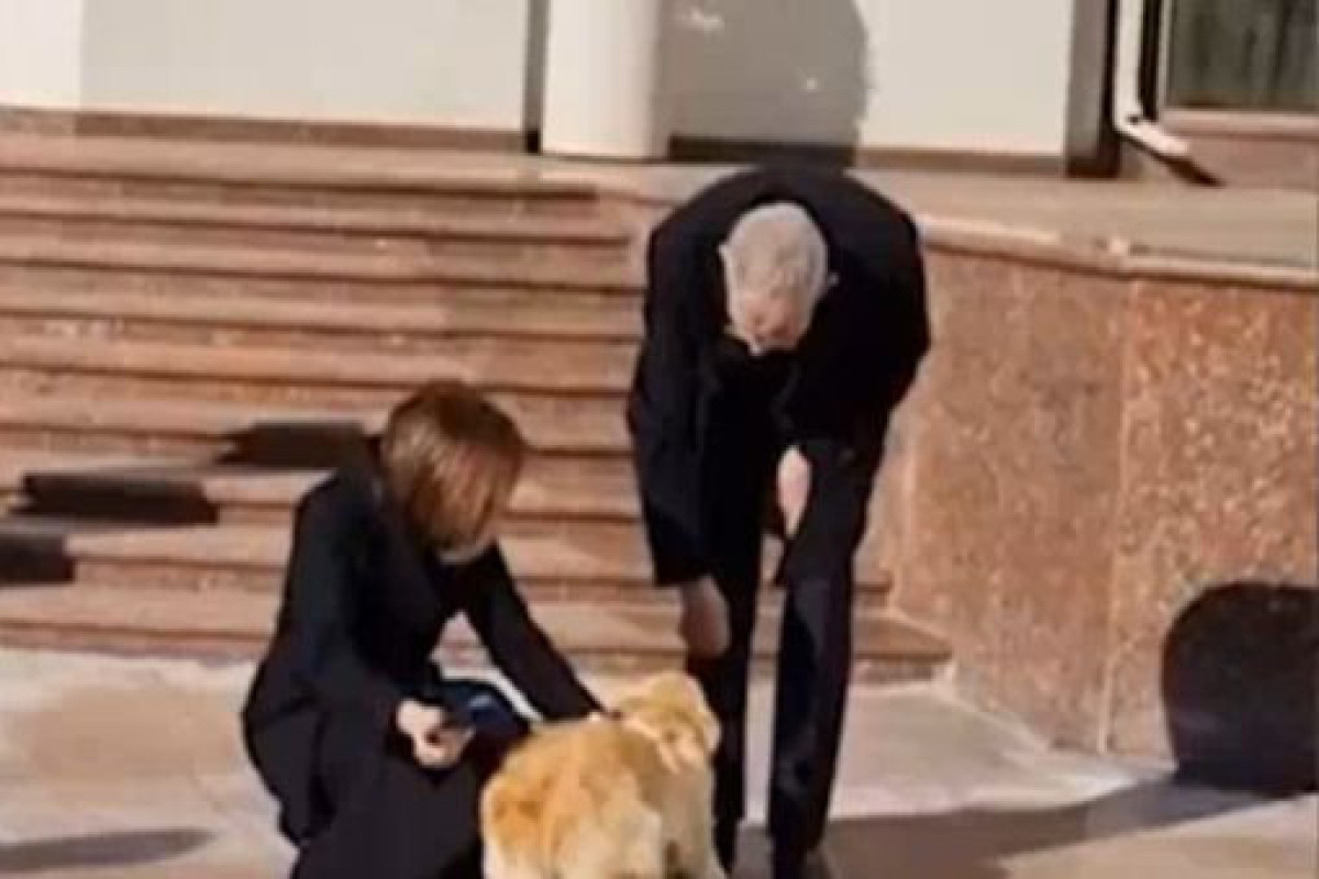Президента Австрии искусал пес