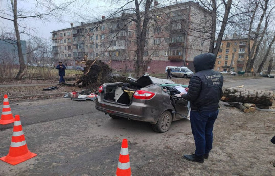 В России при падении дерева на машину погибли двое человек-ВИДЕО 