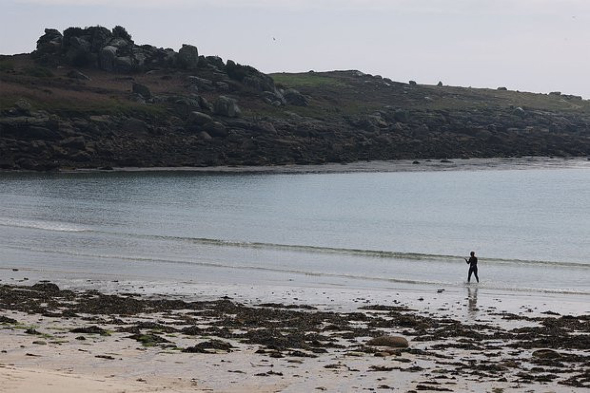 Тысячи синих загадочных сфер вынесло на пляжи в Великобритании