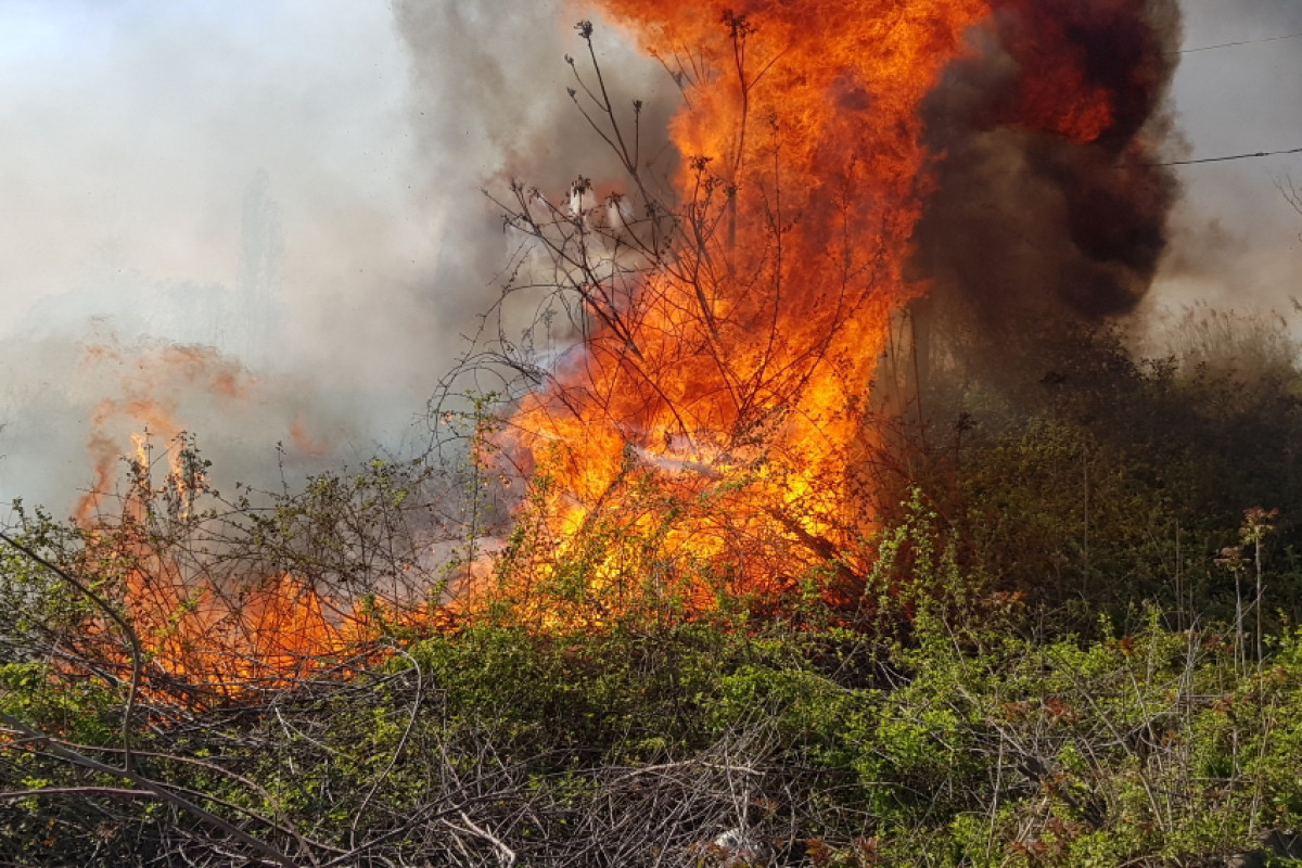 На юге Азербайджана вспыхнул пожар в горно-лесистой местности
