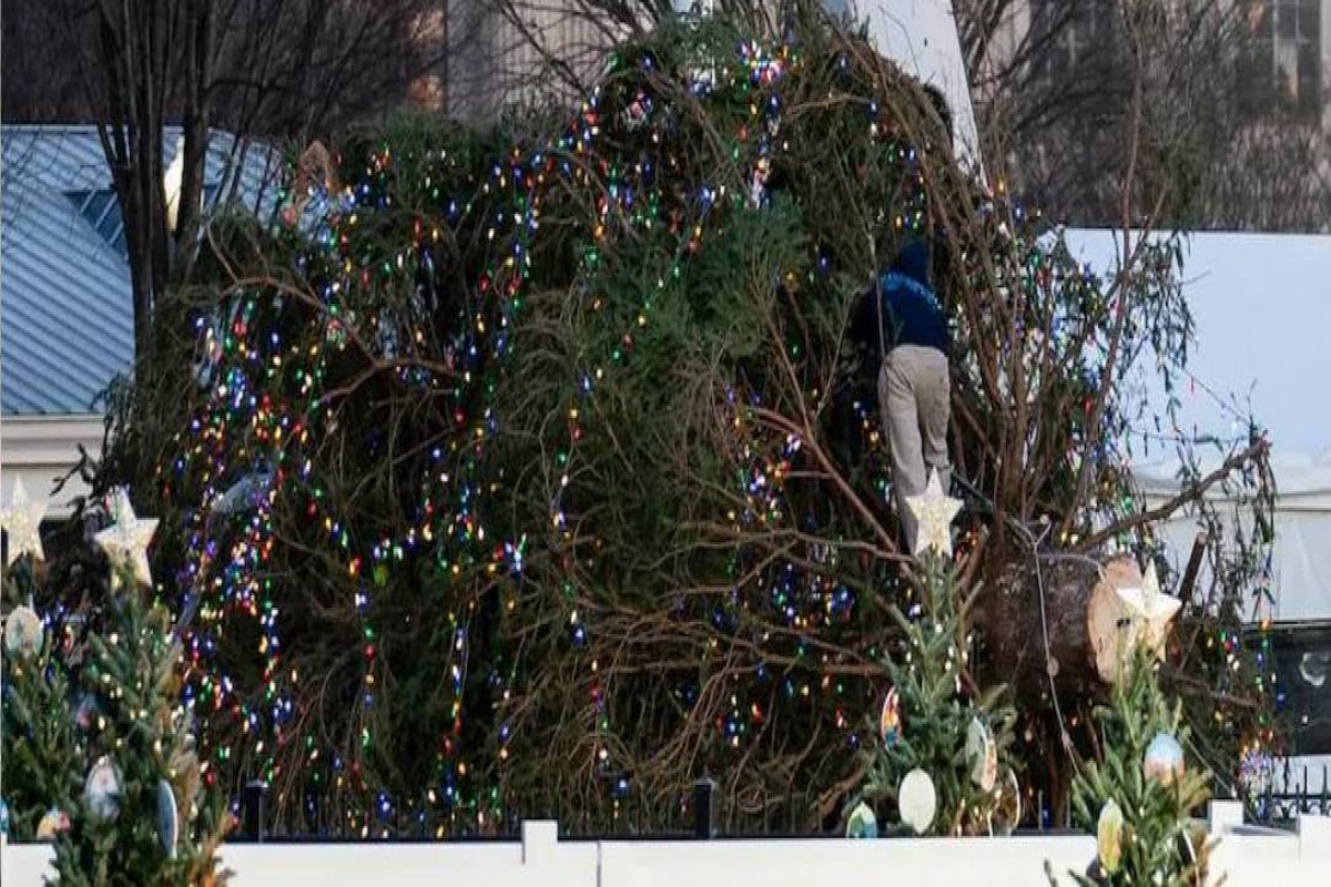 Ветер повалил главную рождественскую елку Вашингтона