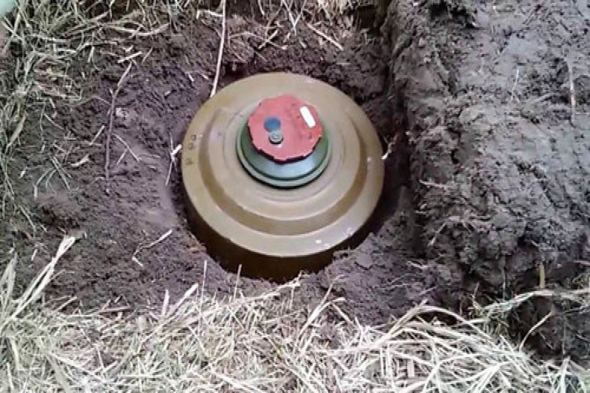 После локальных антитеррористических мероприятий в Карабахе обезврежены 123 мины-ВИДЕО 