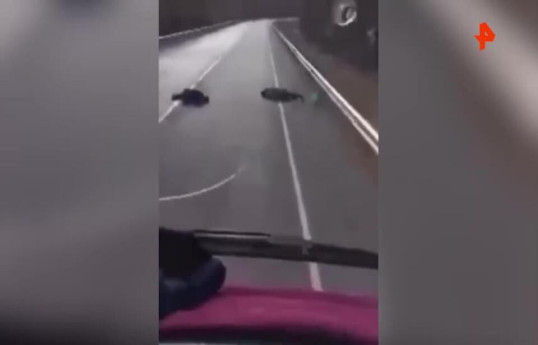 Водитель фуры чудом не сбил двух спящих на трассе людей-ВИДЕО 