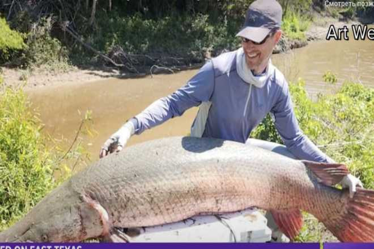 В США мужчина выловил рыбу весом 128 кг и побил мировой рекорд