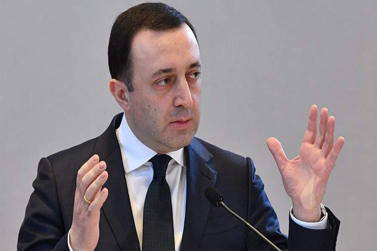 Гарибашвили поддержал решение о начале процедуры импичмента президенту