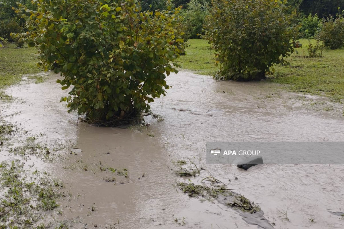 Проливные дожди, град, сели: стихия нанесла серьезный ущерб в ряде регионов Азербайджана-ФОТО -ВИДЕО 