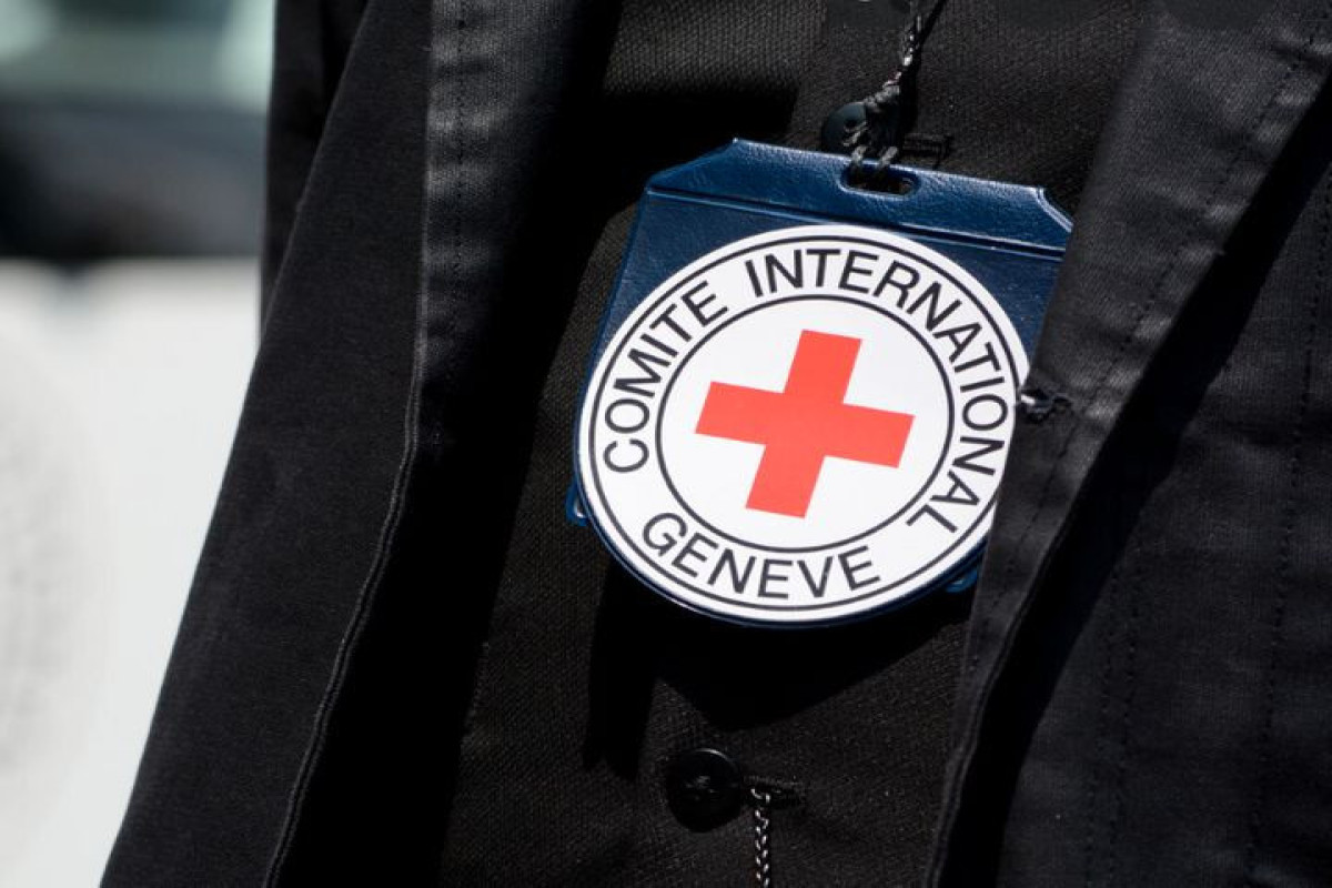 Негуманность Международного Комитета Красного Креста: политические игры «неполитизированной» структуры