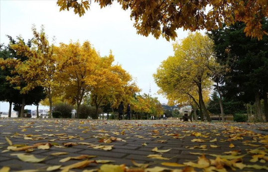 В субботу в Баку облачно и 27 градусов тепла - ПРОГНОЗ ПОГОДЫ  