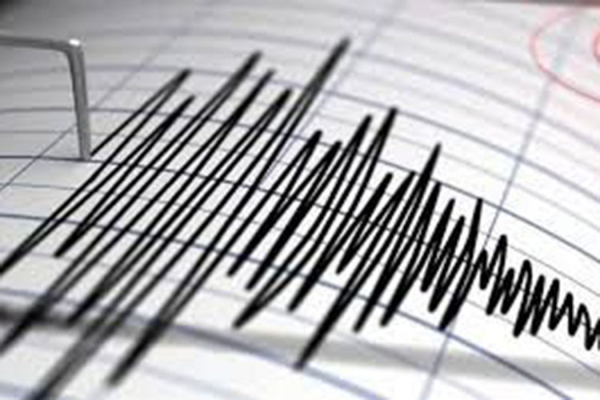 В приграничном с Азербайджаном Лагодехском районе Грузии произошло землетрясение магнитудой 3,0