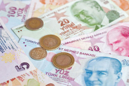 Турецкая лира достигла исторического минимума к американскому доллару