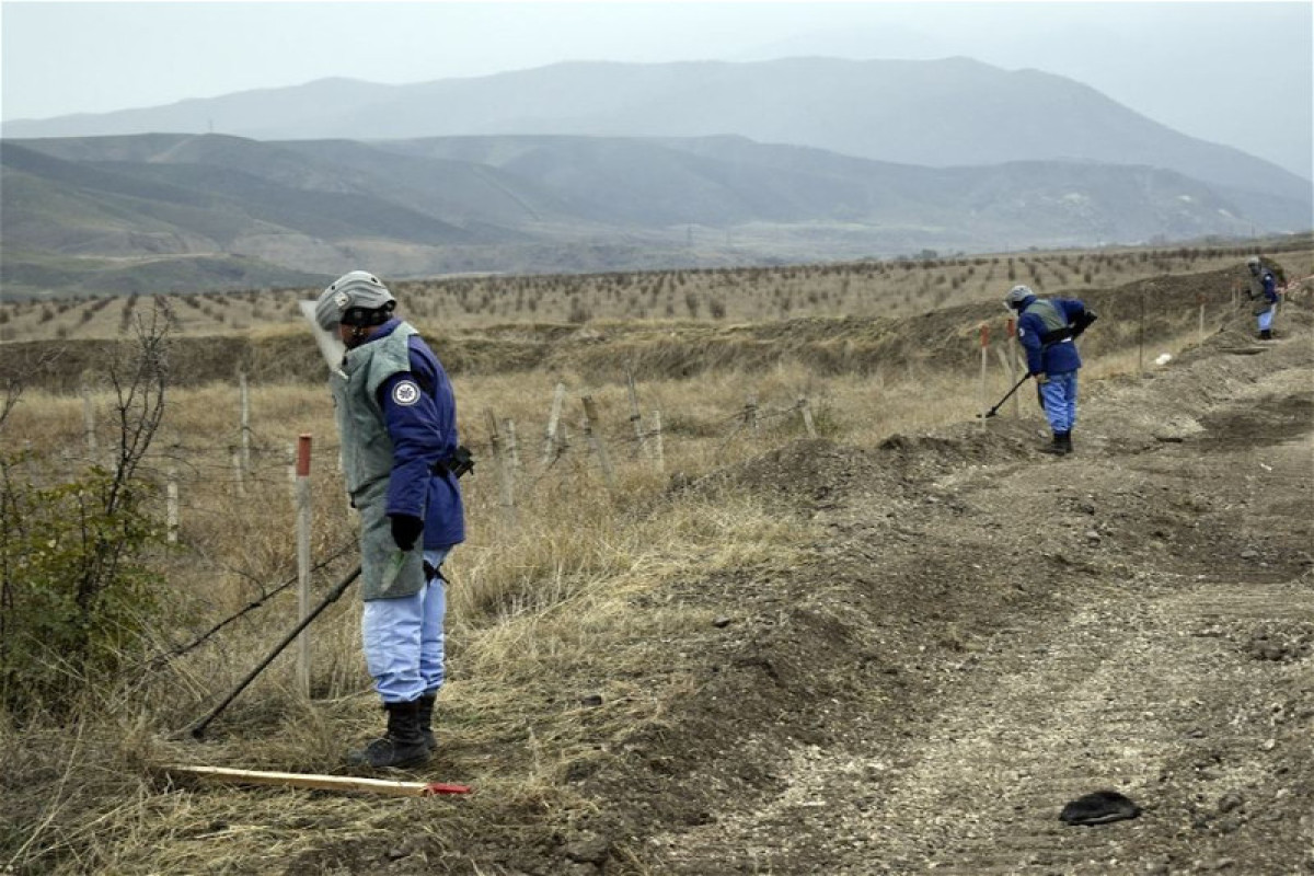 На освобожденных территориях установлено около 1,5 миллиона мин - ANAMA 