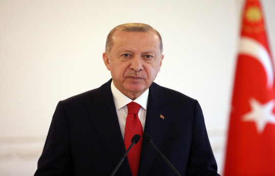 В ходе выборов не удалось достичь желаемых результатов - Президент Эрдоган 