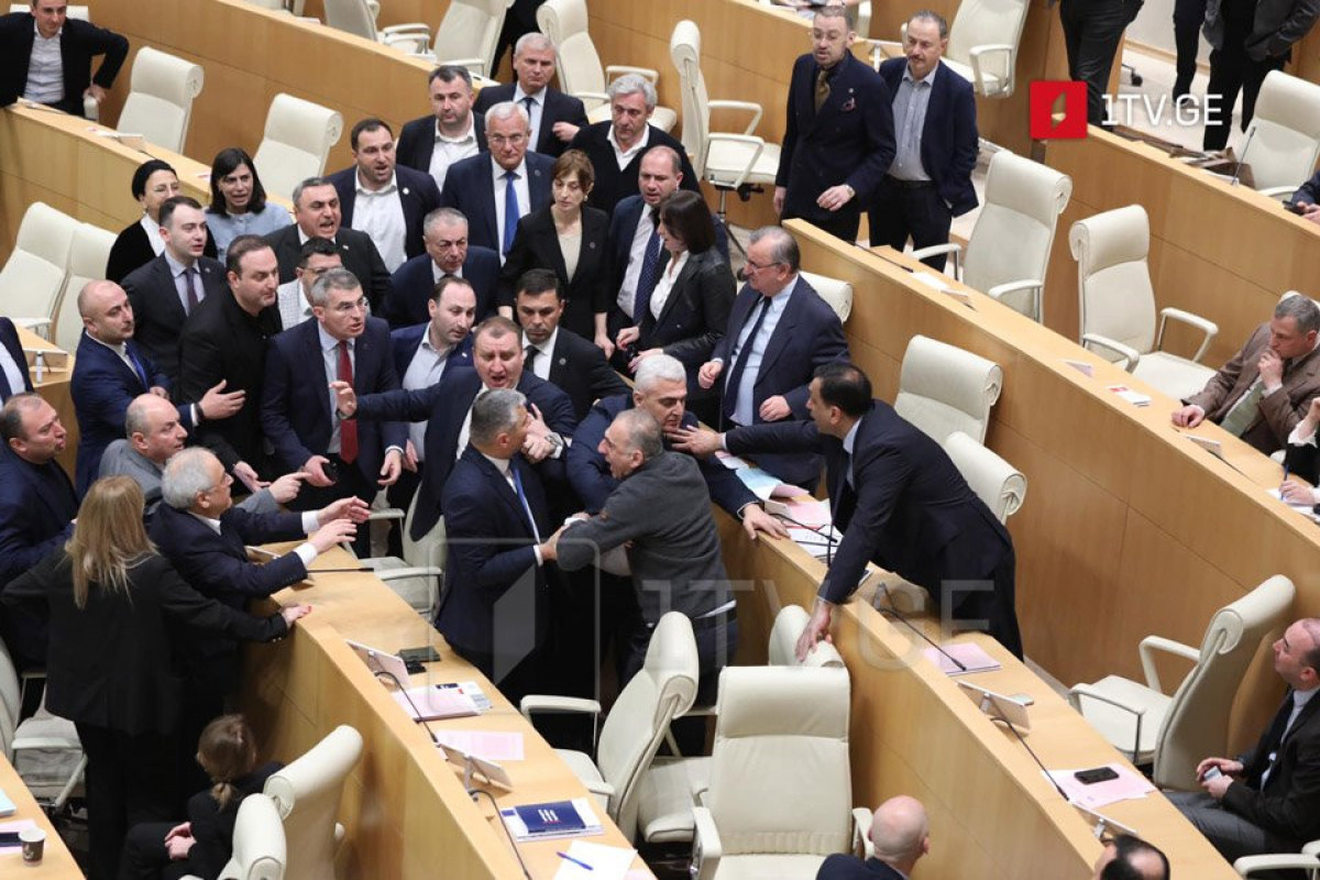 Грузинские депутаты подрались из-за выражения "российский закон"-ВИДЕО 