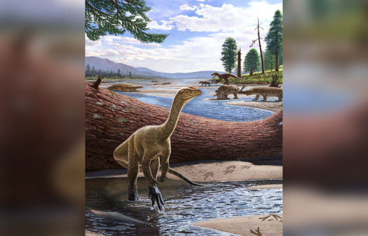 Динозавры нарушили одно из основных правил эволюции - УЧЕНЫЕ 