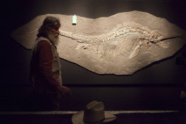 В Англии обнаружили останки крупнейшего ихтиозавра Земли
