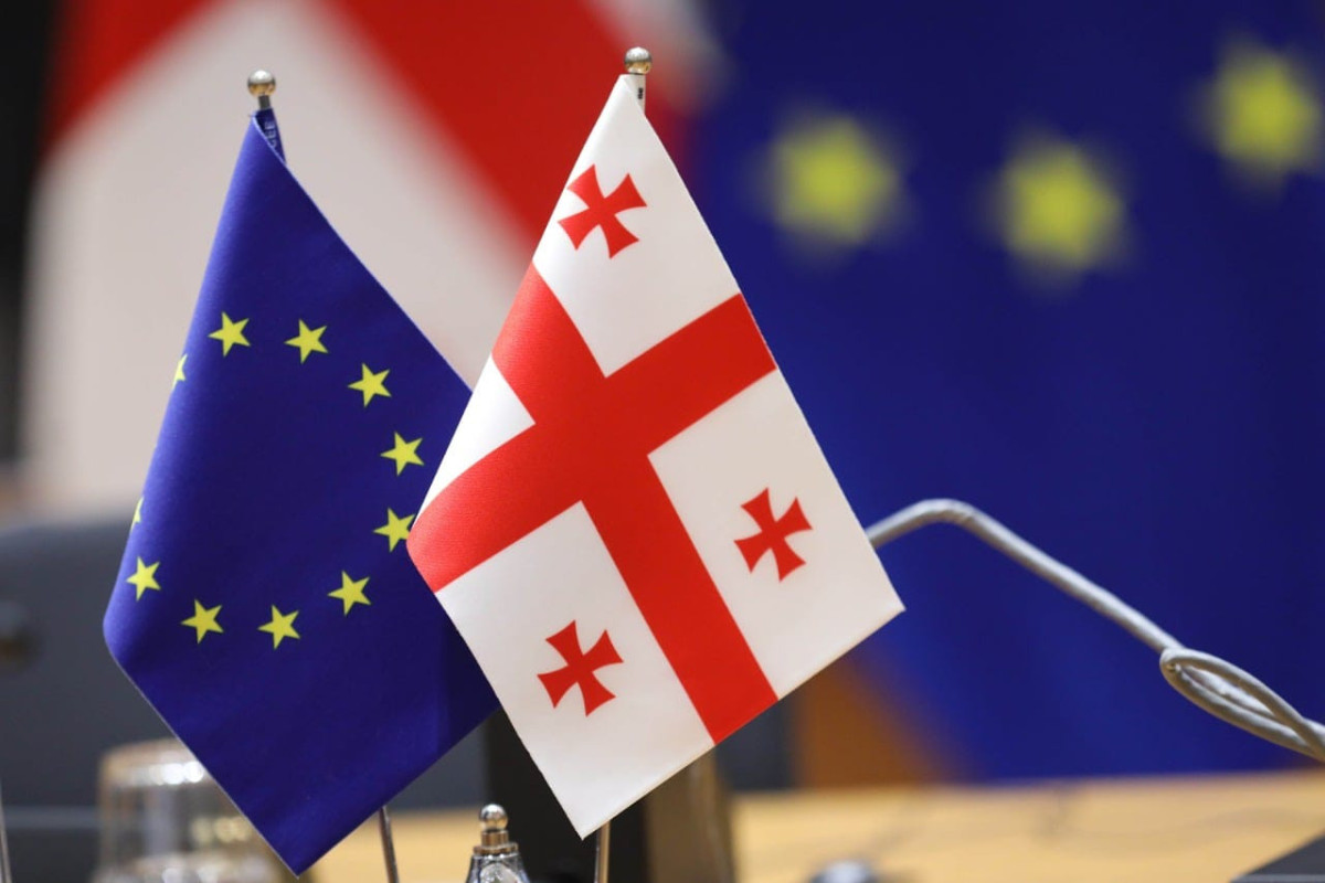 Евросоюз может приостановить финансовую помощь Грузии