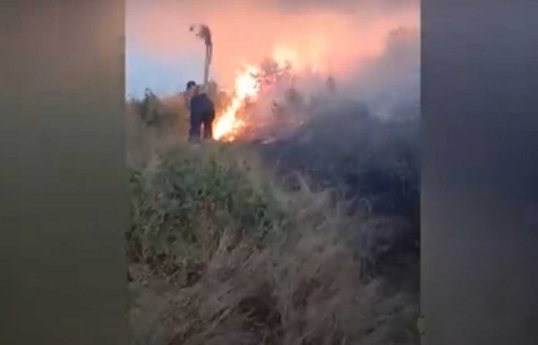 В селе Шафибейли Зангиланского района на площади 120 гектаров сгорели кустарники и скошенное зерновое поле-ВИДЕО 