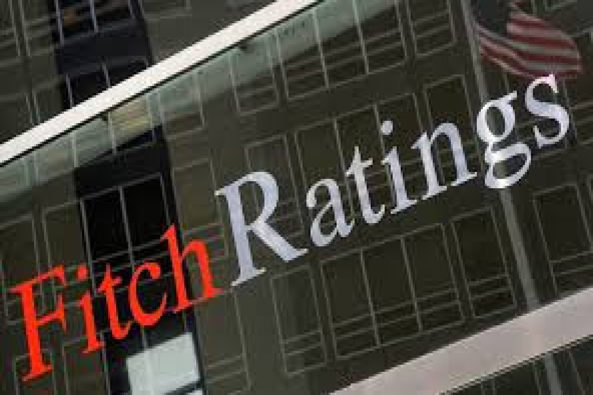 Fitch изменило прогноз по рейтингу Грузии на «негативный»