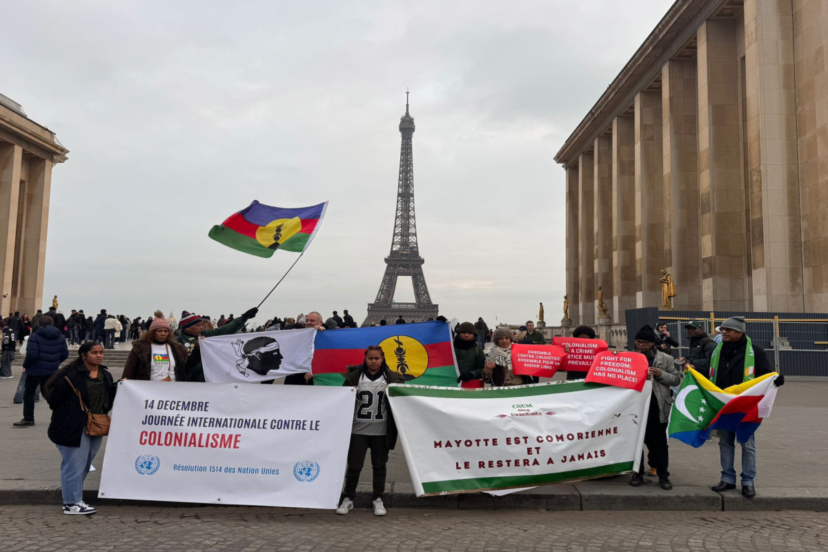 В Париже прошла акция протеста, посвященная Дню деколонизации-ФОТО -ВИДЕО 