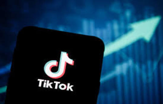 В США отклонили апелляцию о временной блокировке инициативы по запрету TikTok