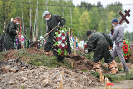 Год Семьи в России завершился "демографической ямой"