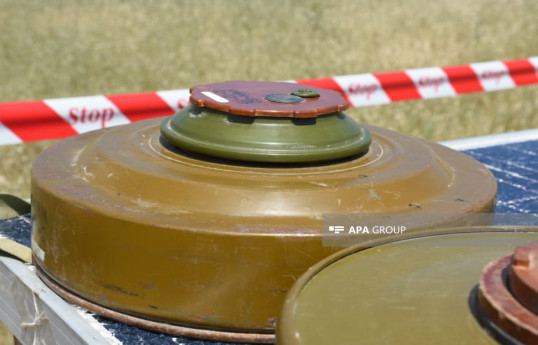 На освобожденных территориях Азербайджана обнаружено еще 79 мин