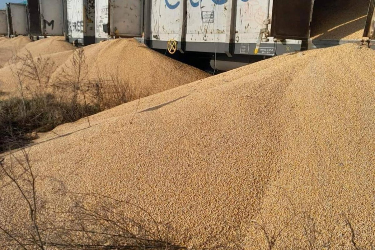 В Польше неизвестные высыпали 160 тонн украинского зерна на железнодорожной станции