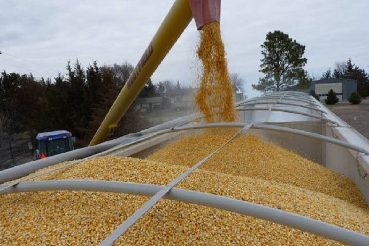 Литва не будет блокировать поставки украинского зерна