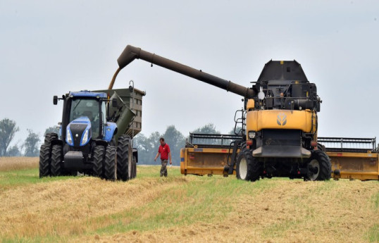 Bloomberg: Украина пытается успокоить польских фермеров сокращением экспорта в Евросоюз