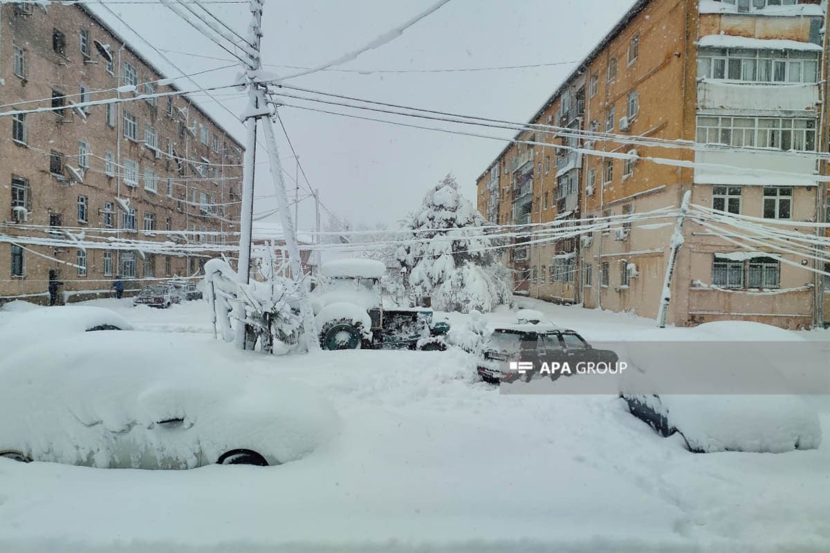 Высота снежного покрова в Лянкяране достигает 50 см, прервано электроснабжение города -ФОТО 