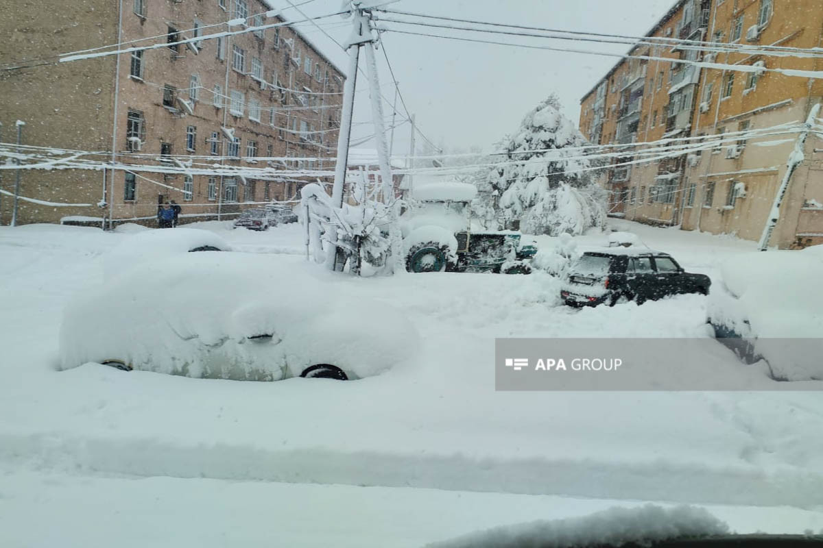 Высота снежного покрова в Лянкяране достигает 50 см, прервано электроснабжение города -ФОТО 