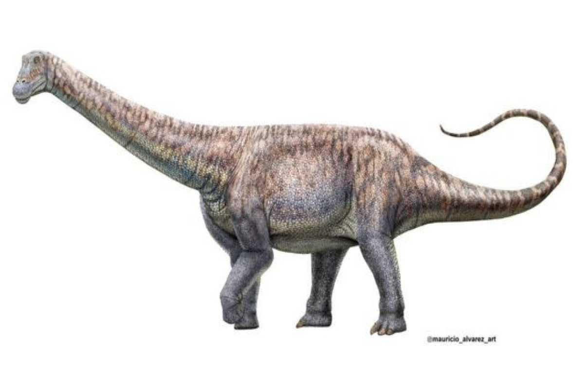 В Китае обнаружены останки динозавра нового вида - ОТКРЫТИЕ 