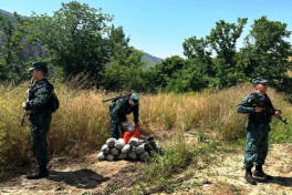 ГПС: За нарушение границы в июне задержано 30 человек, изъято 455 кг наркотиков-ФОТО 