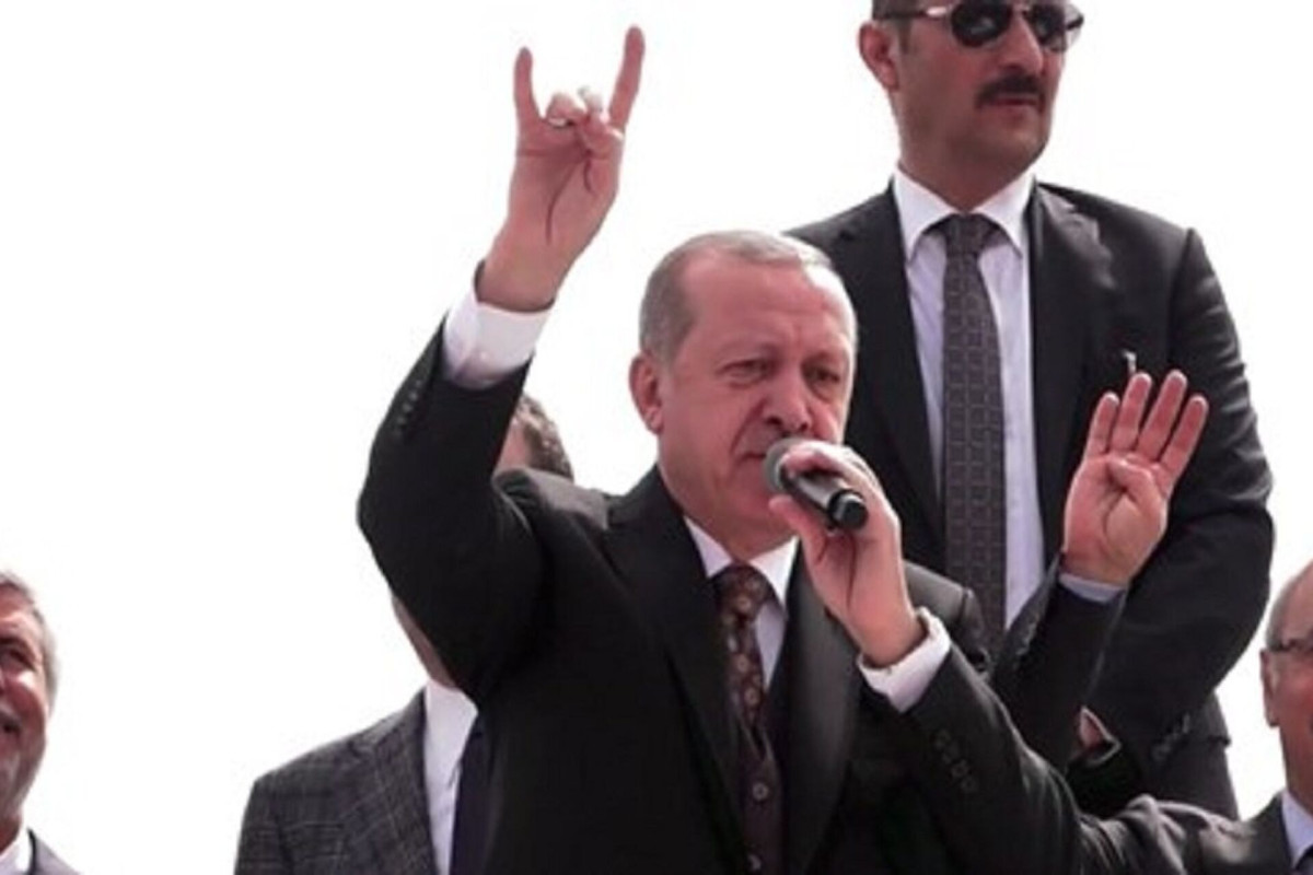 Эрдоган: "У немцев на форме орлы, у французов — петухи, кто-нибудь спрашивает у них, почему они петушаться?" 
