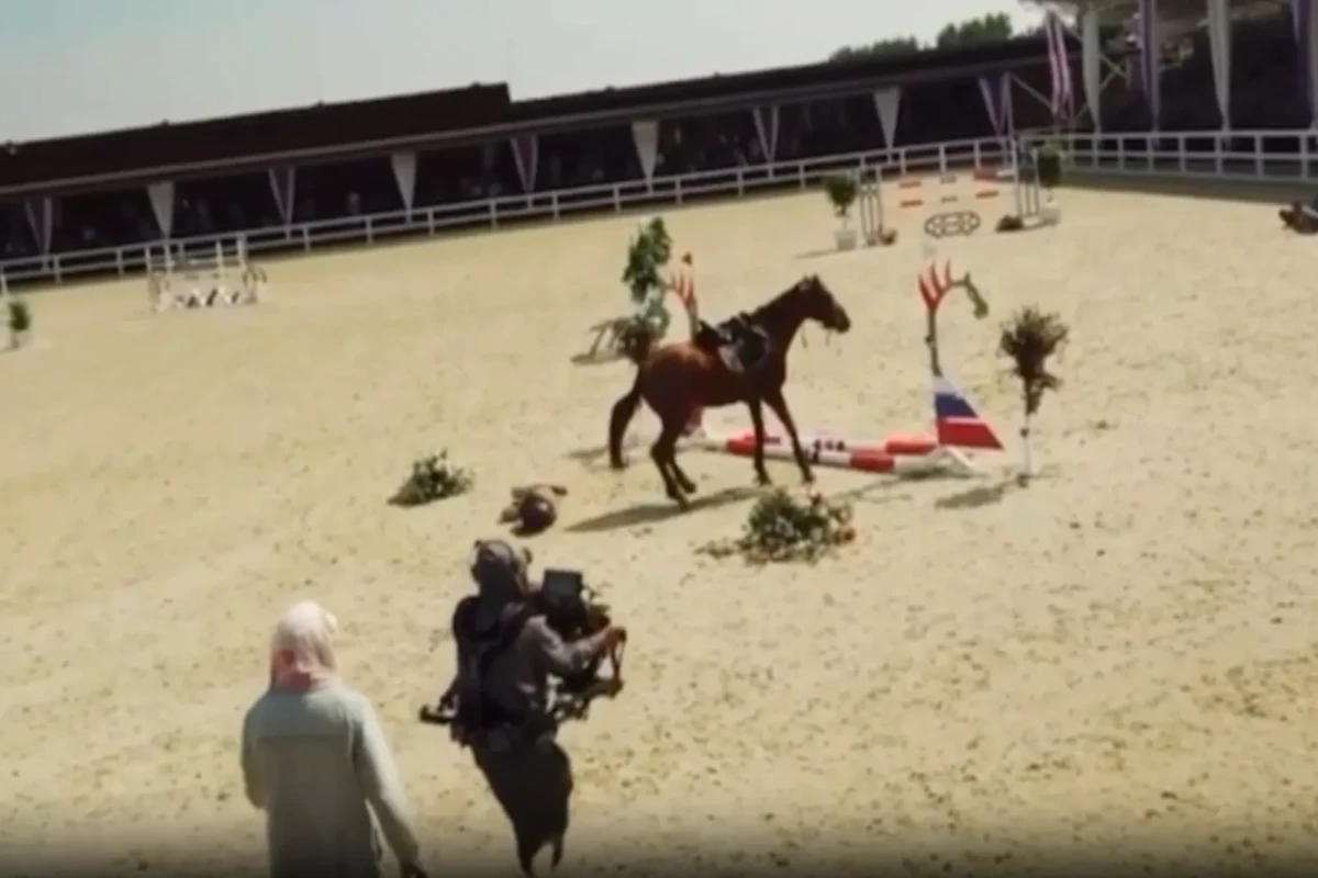 Федерацию конного спорта России обвинили в жестоком обращении с лошадьми