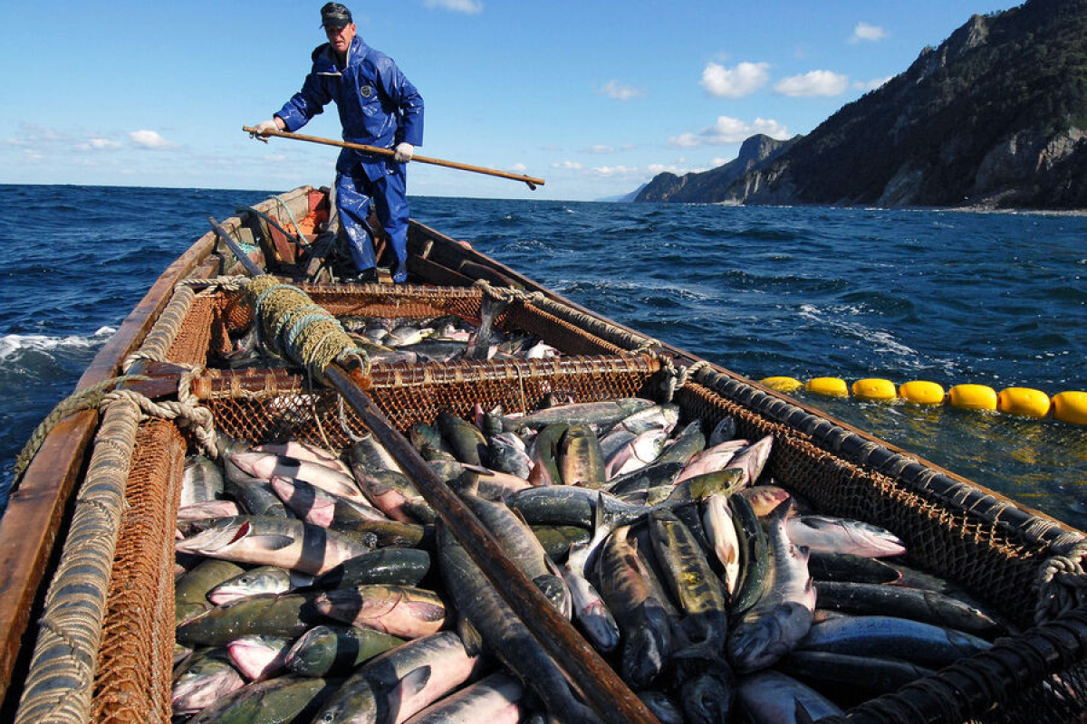 В МИД РФ пригрозили Норвегии ответом за санкции против российских рыбаков