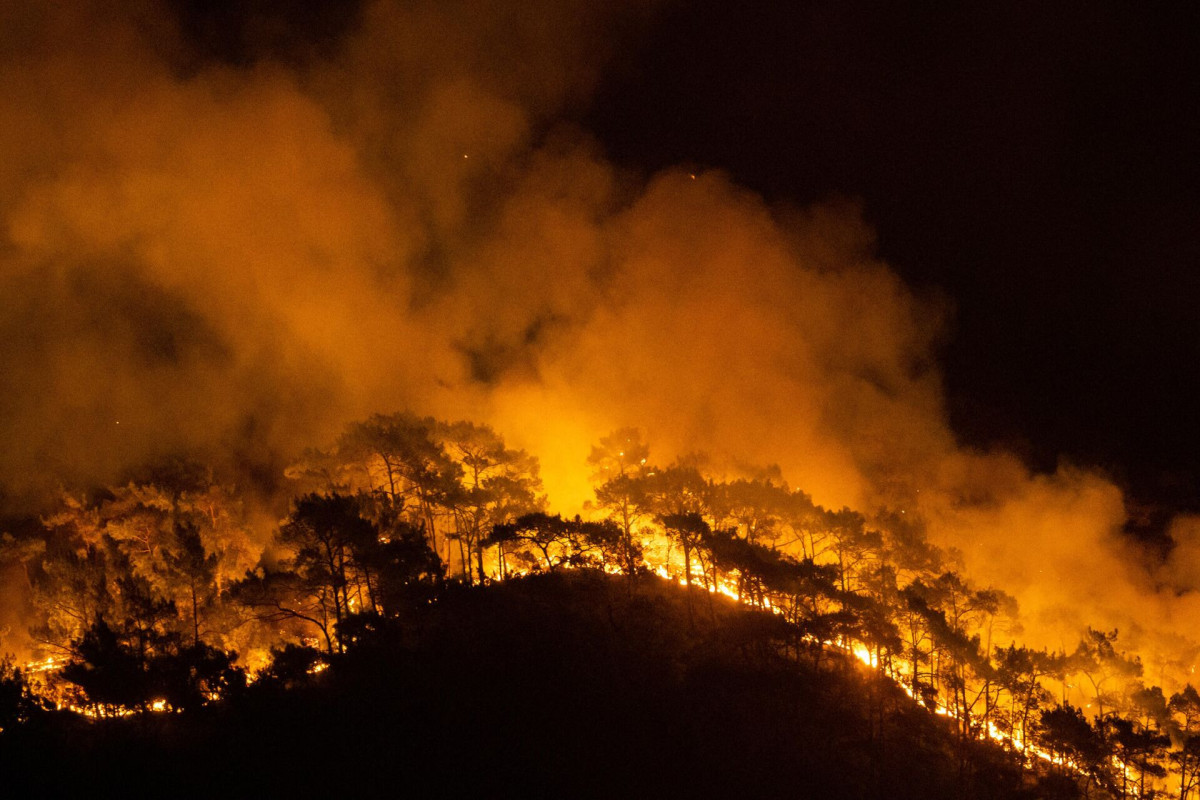 Власти предупреждают о повышенном риске пожаров в летний период
